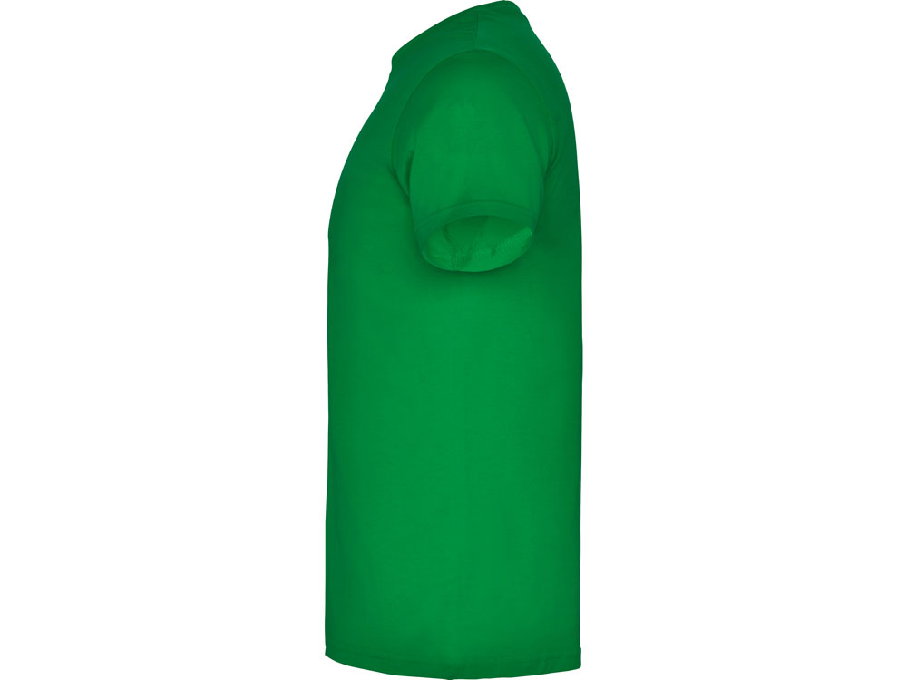 �������� Beagle �������, �������