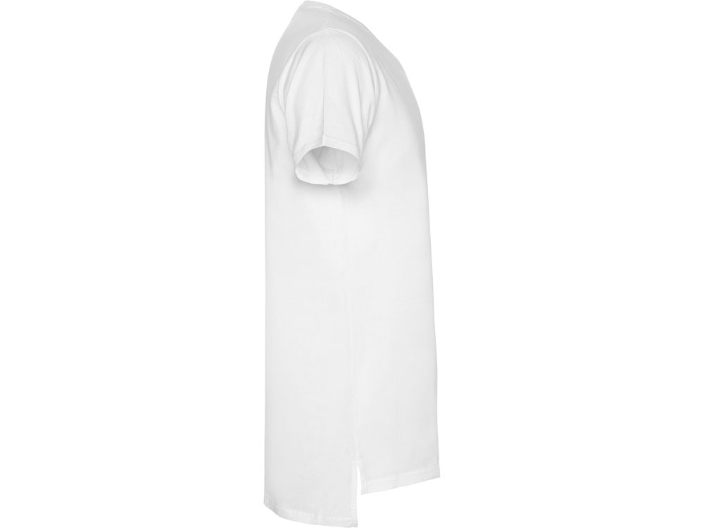 �������� Collie �������, �����