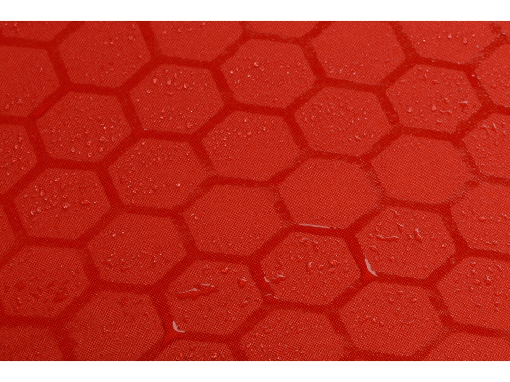 ����-������ ����������� Wetty � ������������� ��������, �������