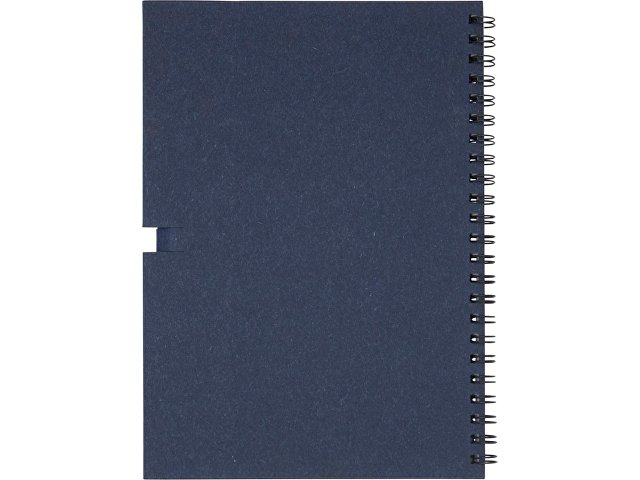 ������� Luciano Eco �� �������, � ����������, �������, �����