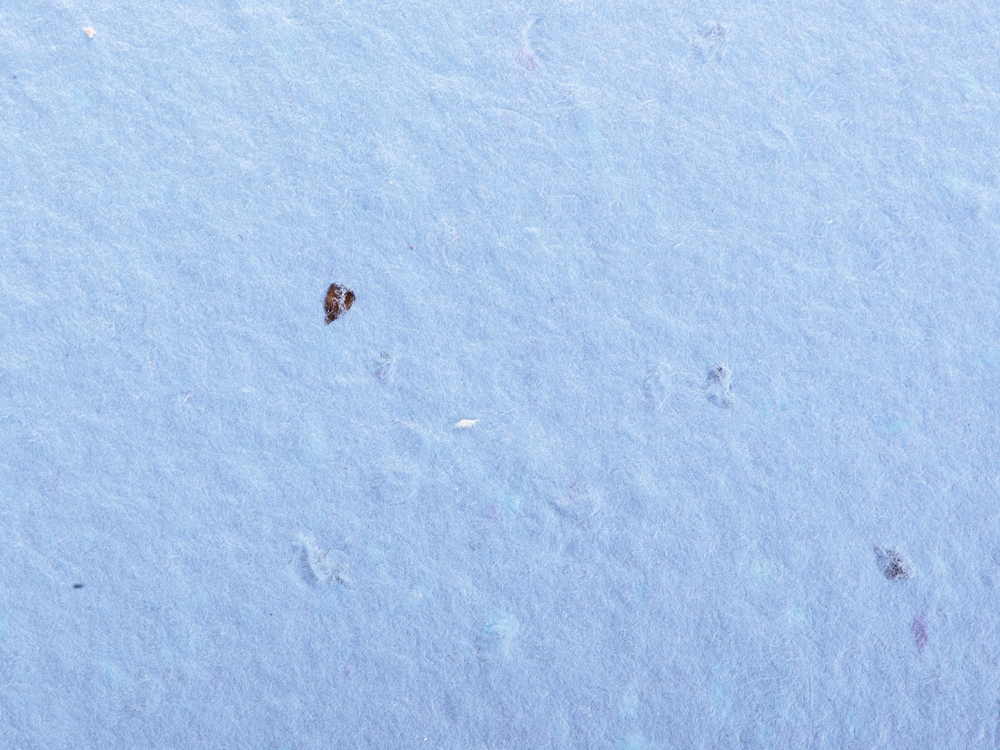 ����� ������� � �������� ������, �����