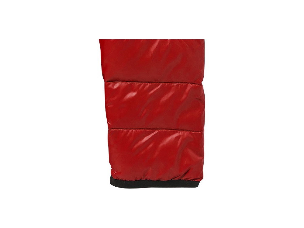 ������ Scotia �������, �������