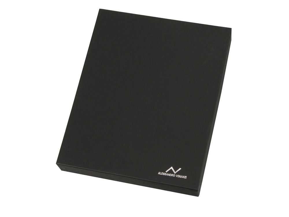 �����-��������� Alessandro Venanzi