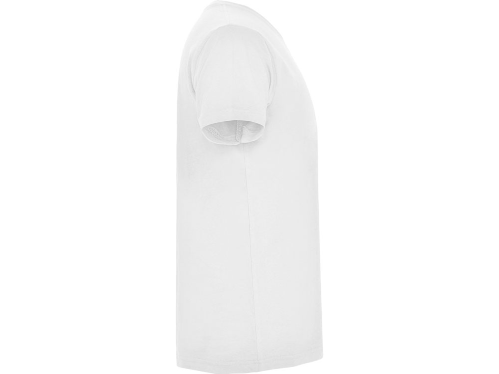 �������� Samoyedo �������, �����