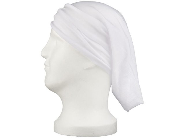 ������� Lunge, �����