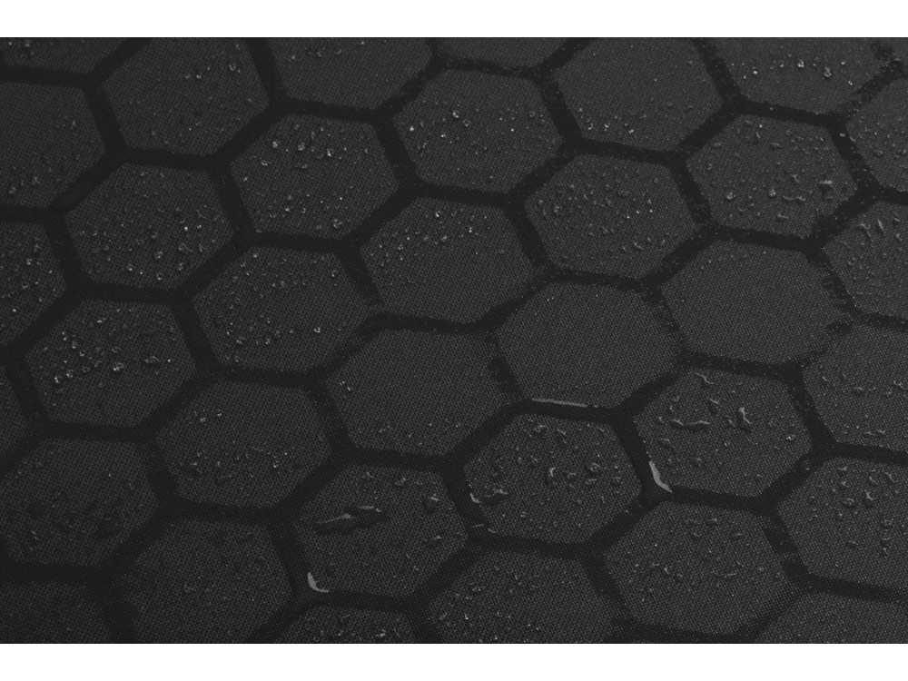 ����-������ ����������� Wetty � ������������� ��������, ������