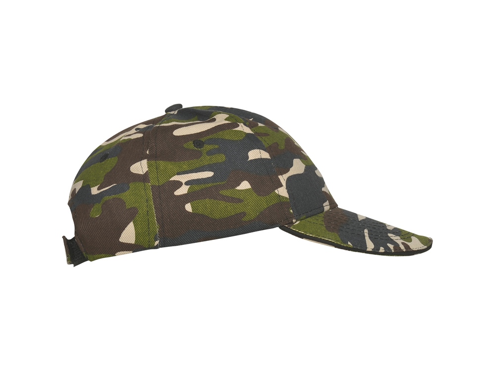 ��������� Panel �������, ������ ��������