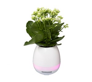 ������� Green Thumb Flower Pot � Bluetooth�