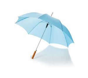 ����-������ ������������������, �������