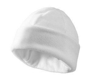 �������� ����� "Denver", �����