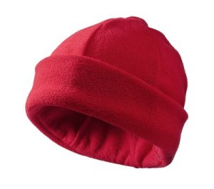 �������� ����� "Denver", �������