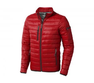 ������ Scotia �������, �������