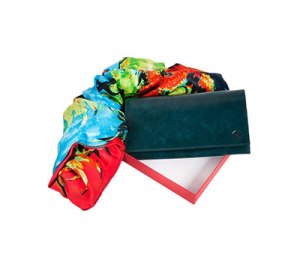 ����� Diplomat: ������, ������� ������, ����������