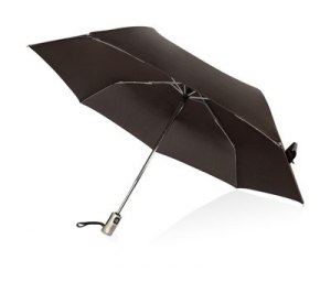 ���� "�����". Voyager, ����������