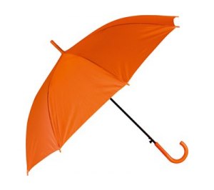 ����-������ ������������������ � ����������� ������, ���������