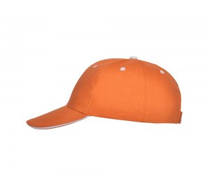 ��������� Panel �������, ���������