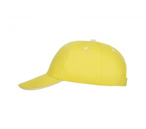 ��������� Panel �������, ������