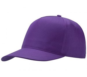 ��������� Poly 5-�� ���������, ����������