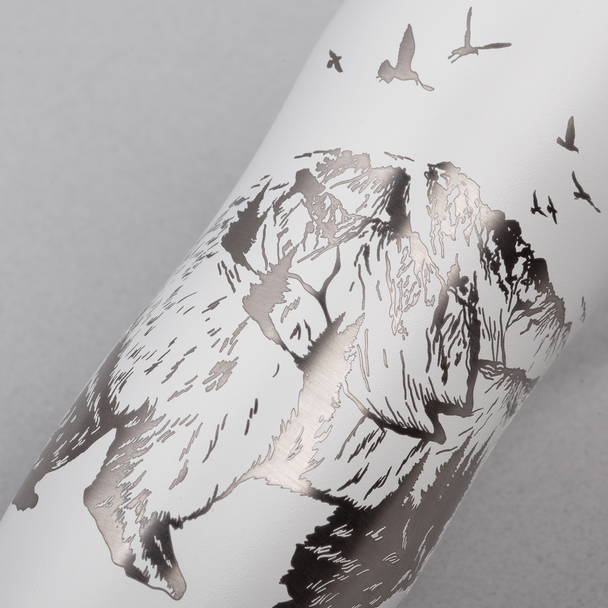 ����� "�����"