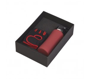 ����� ���������� "���������", �������