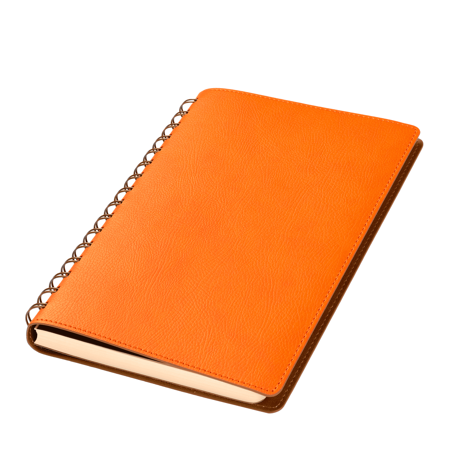 ���������� Portobello Trend, Vista, ��������������, ���������/����������