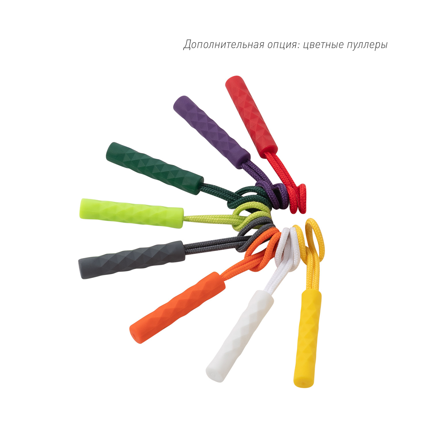 ������ Monte, �����