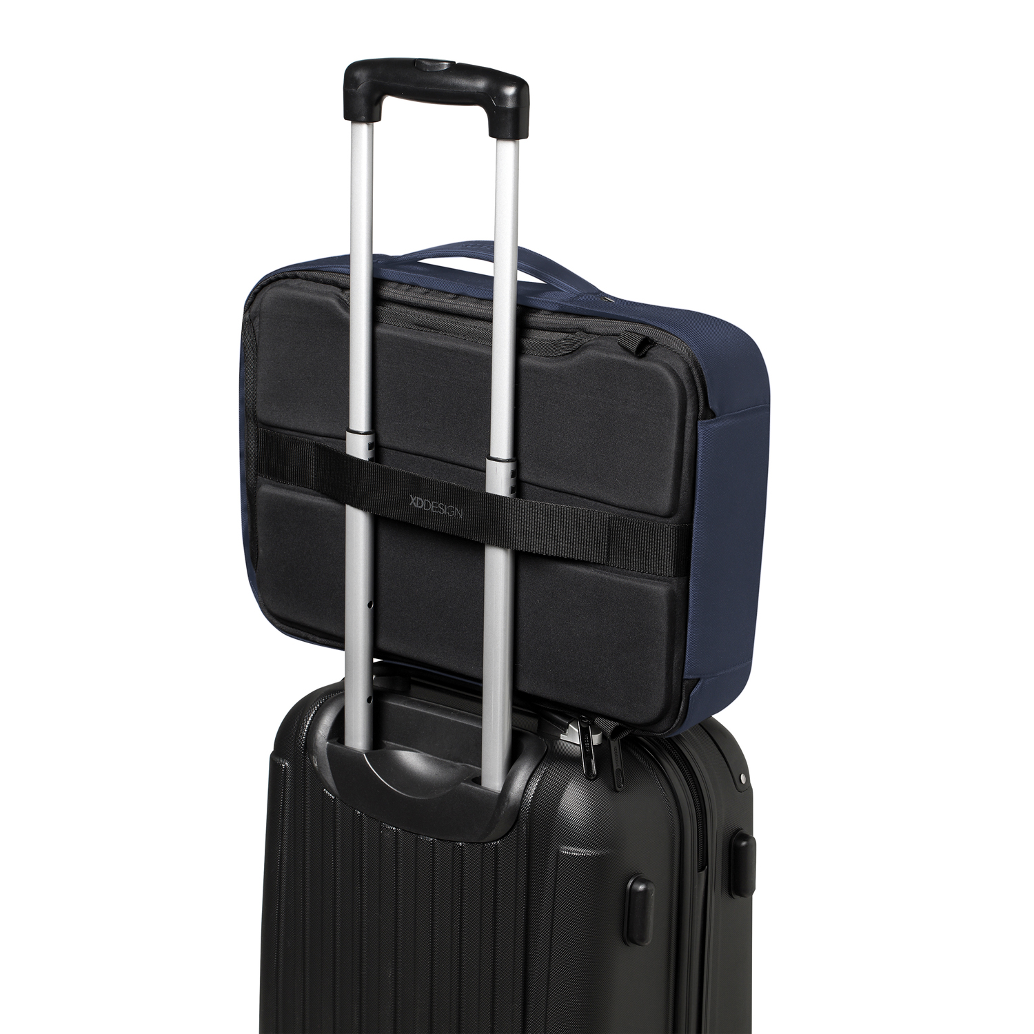 �����-������ Bobby Bizz � ������� �� �����������, �����