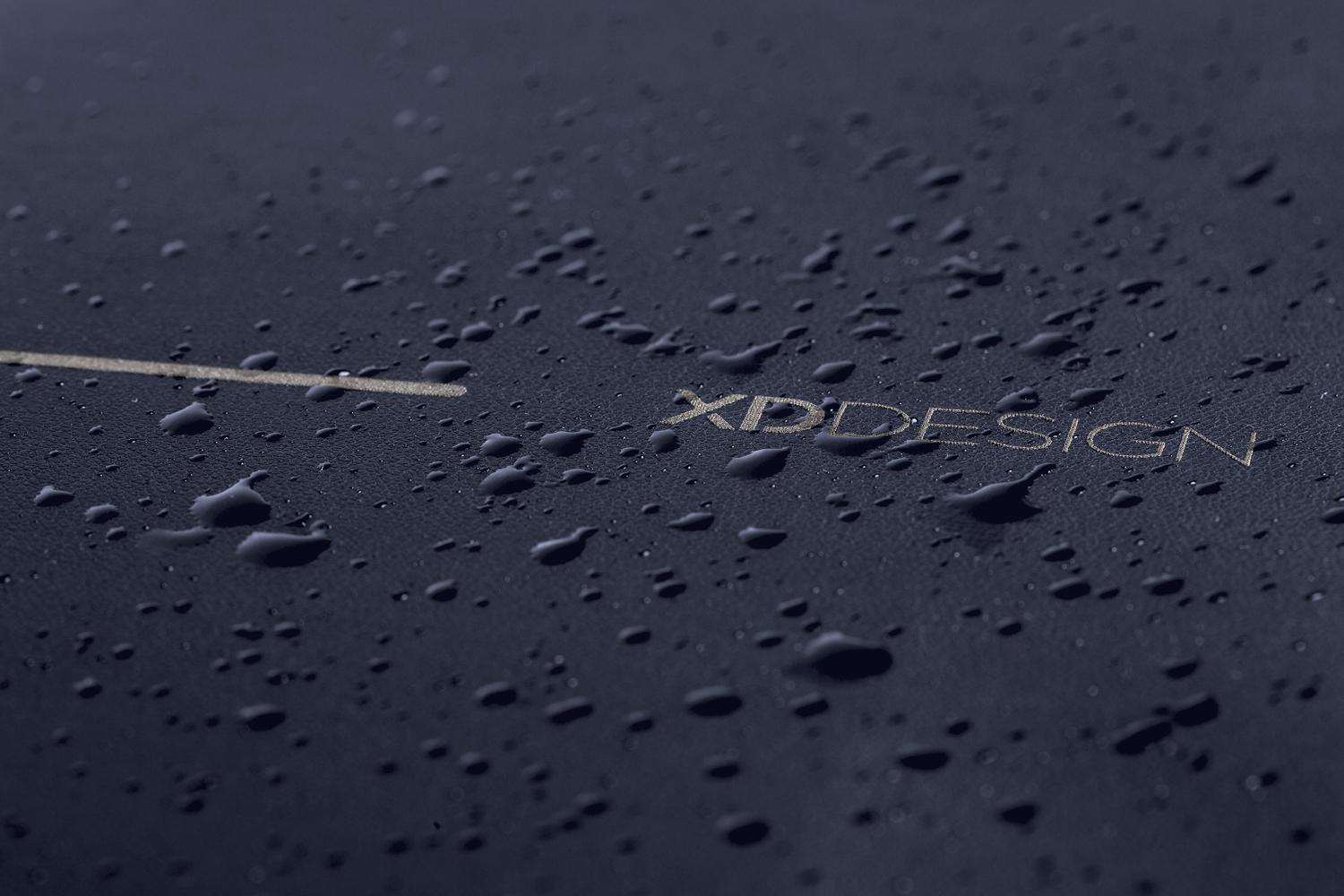 �����-������ Bobby Bizz � ������� �� �����������, �����