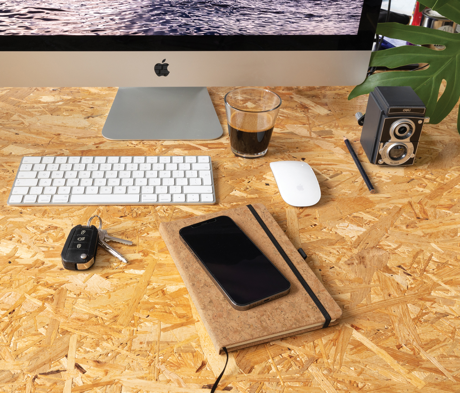 ������� � ������� ������� Cork, �5