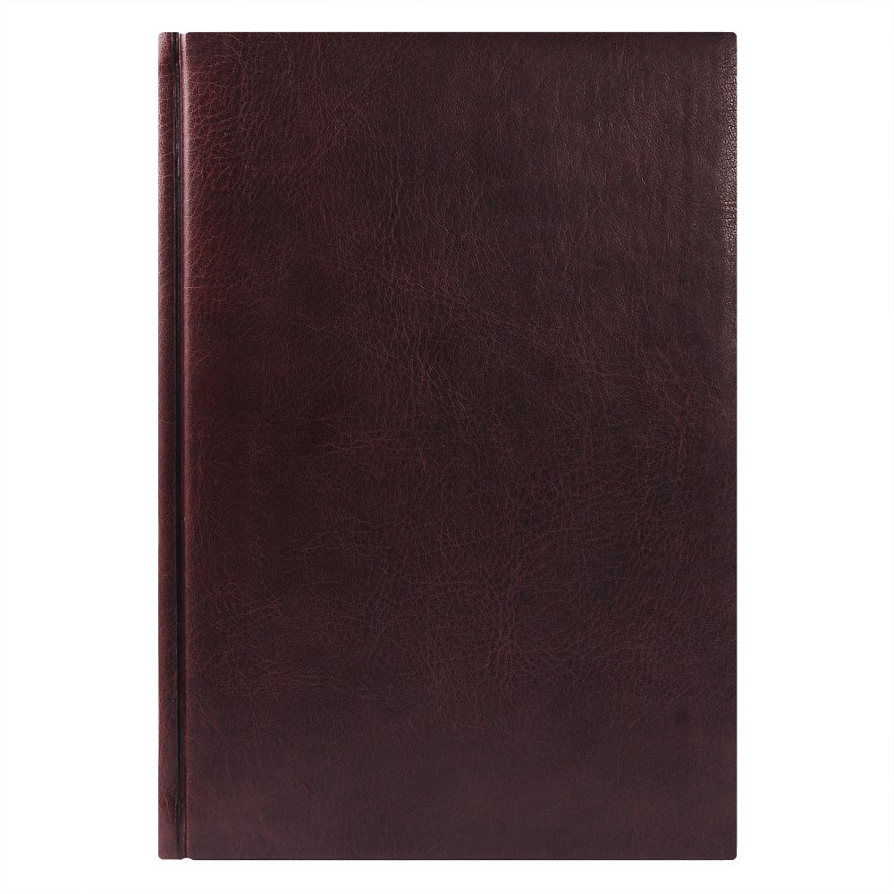   Vegas 145205 , , - ,   2016