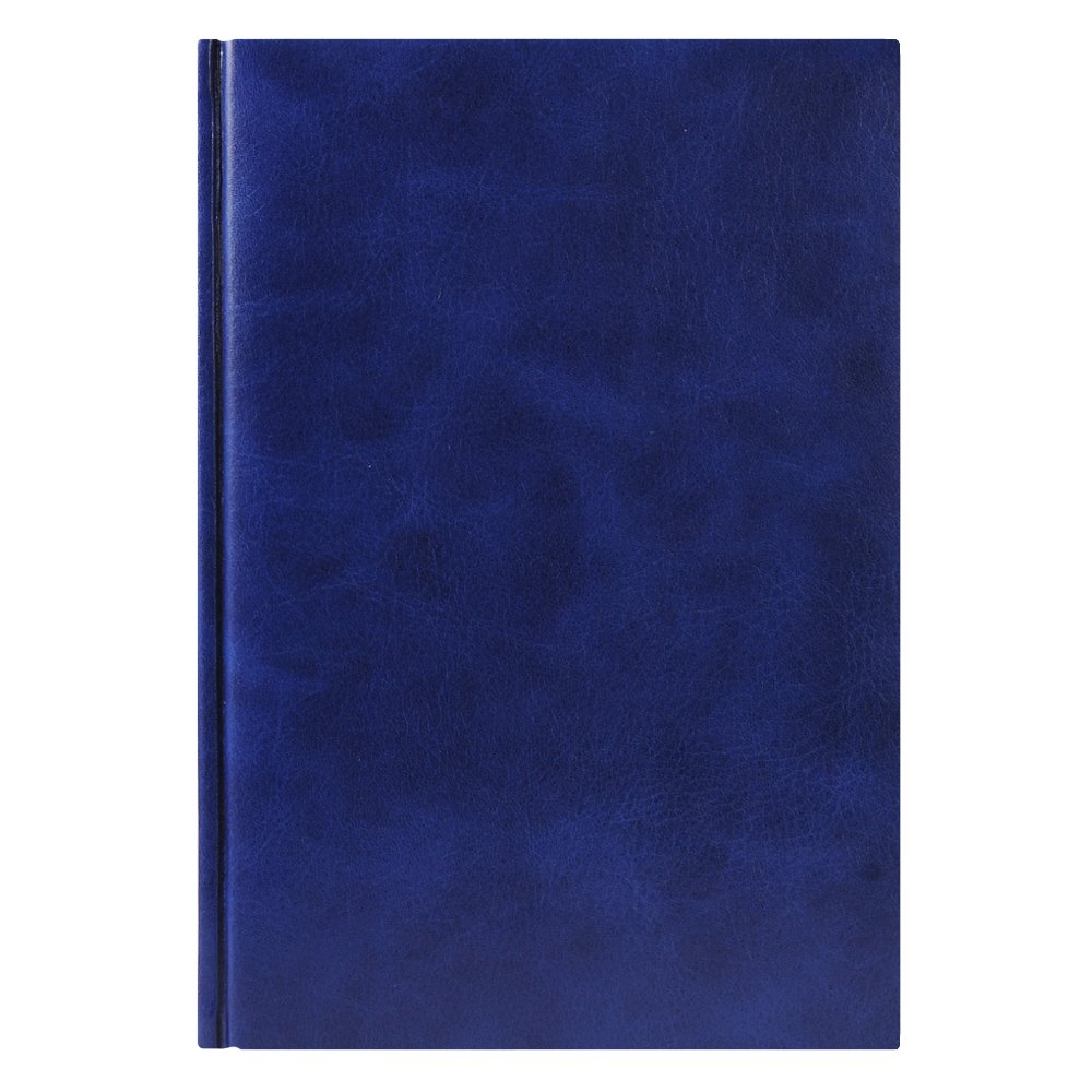   Vegas 145205 , , - ,   2016