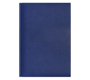   City Winner 145205 , , - ,   2016