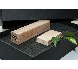   2/06 (U-PK023, Z144, DR006) (, 119195*45,    2600 mah,    16 )