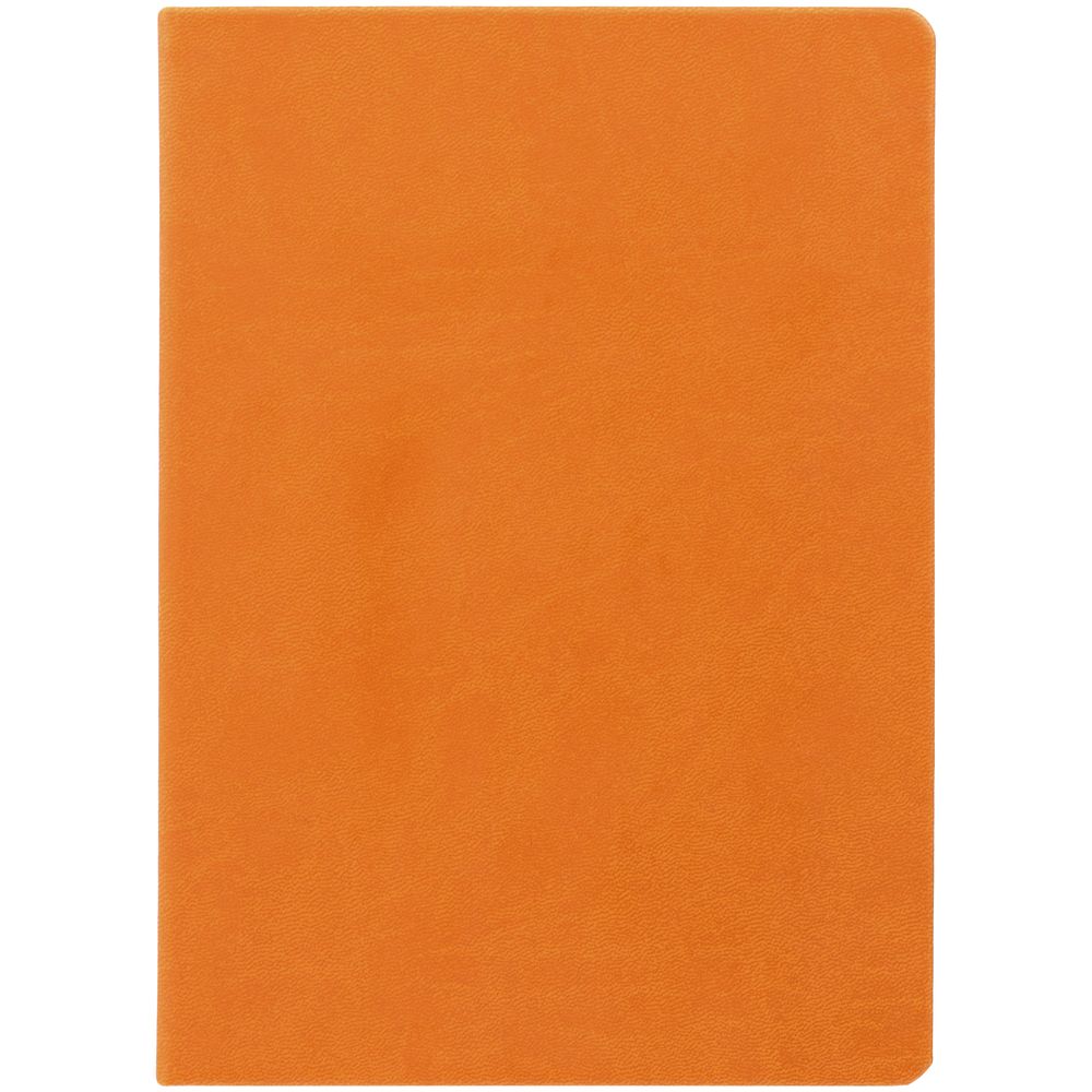 Ежедневник Basis, датированный, оранжевый