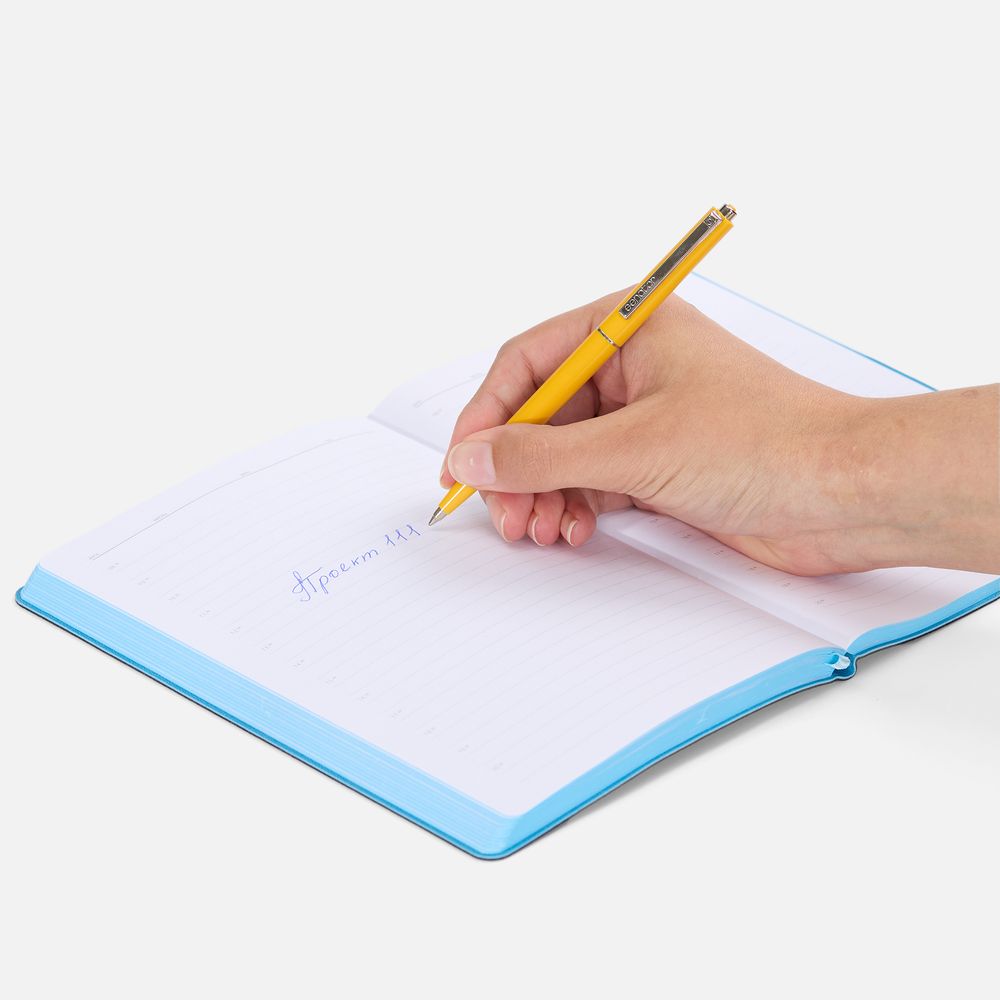   Senator Point ver. 2, 