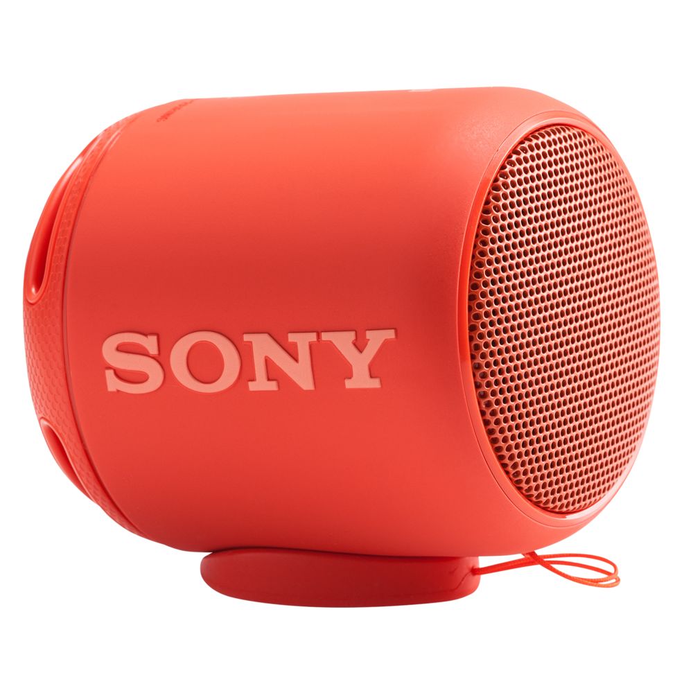   Sony SRS-10, 