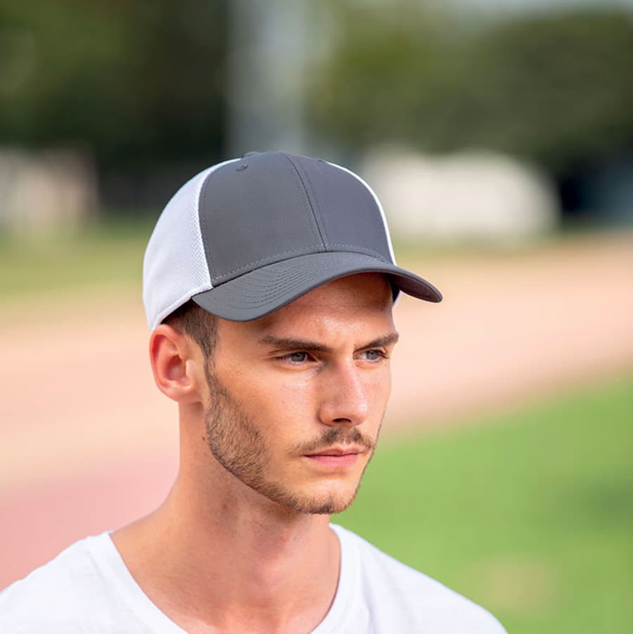  "Campus", /-, 100%  , 244 /2        