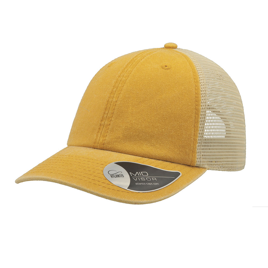  "CASE", ,  100%,  250 /2,   