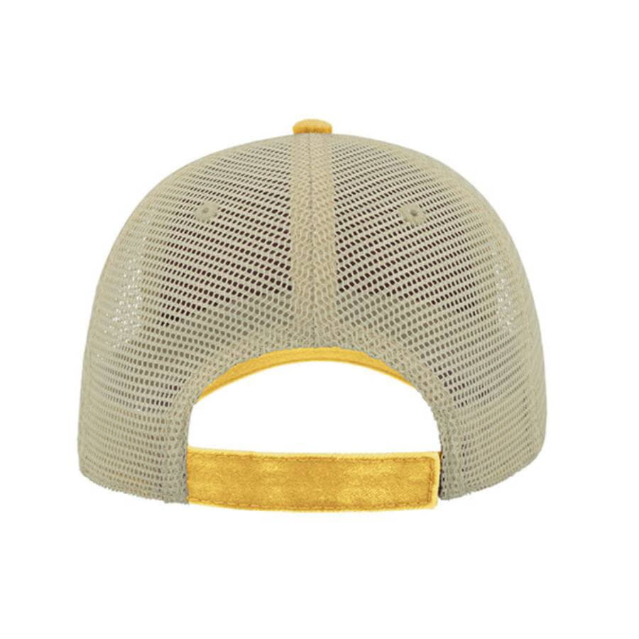  "CASE", ,  100%,  250 /2,   