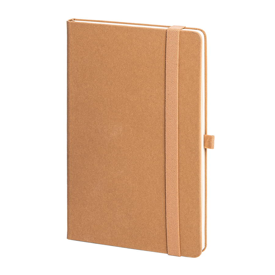 - TERRI, A5, ,  ,  /