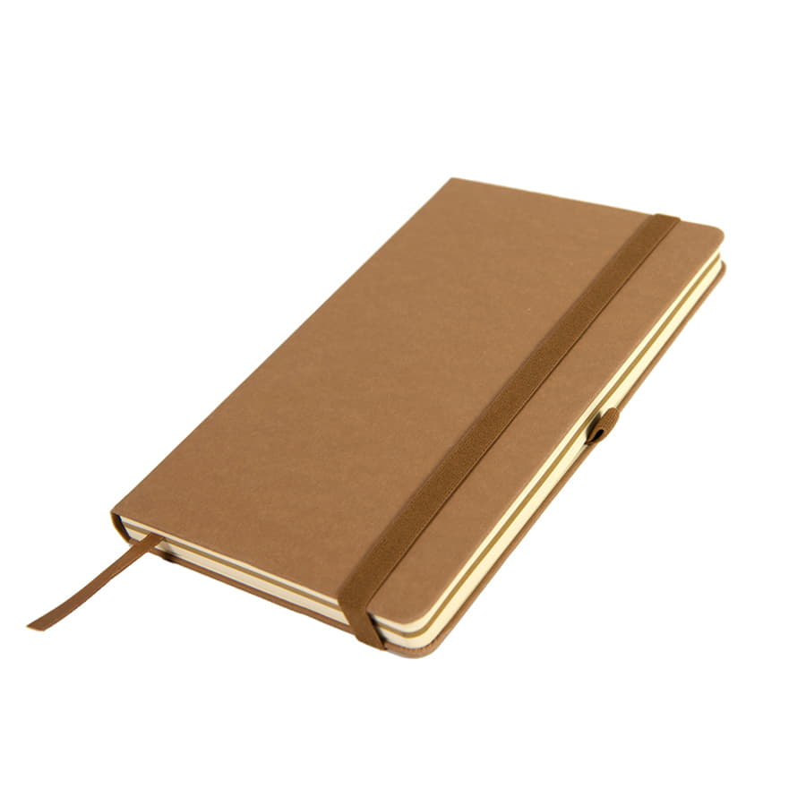 - TERRI, A5, ,  ,  /