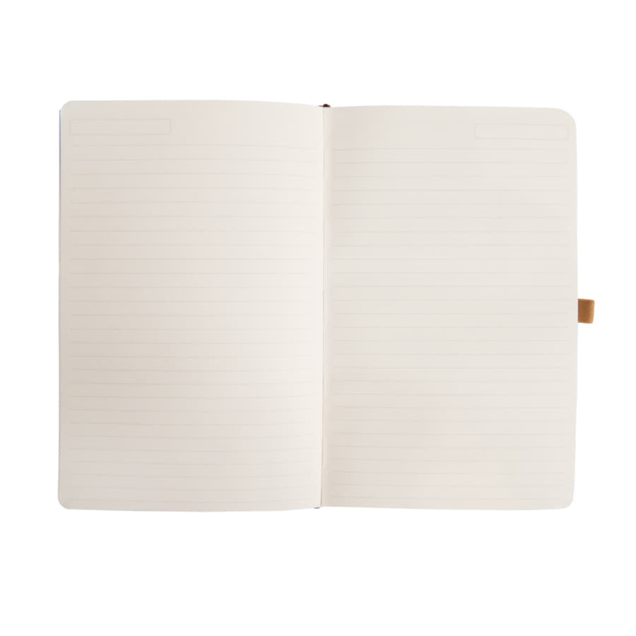 - TERRI, A5, ,  ,  /