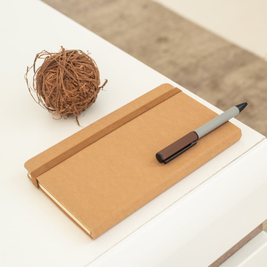 - TERRI, A5, ,  ,  /