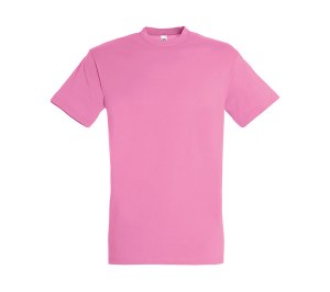   REGENT, , XXS, 100% , 150 /2