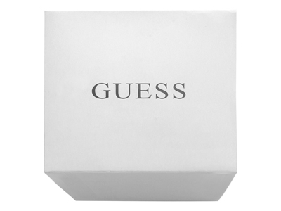 ,  Guess