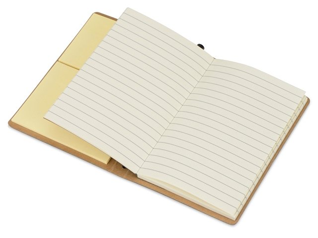   Write and stick    , 