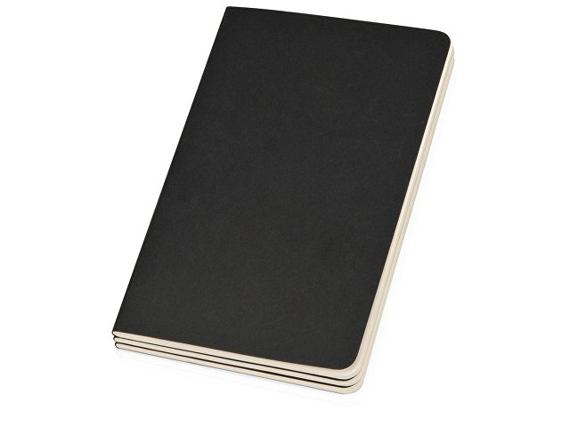   Moleskine Cahier (, 3 .), Large (1321), 