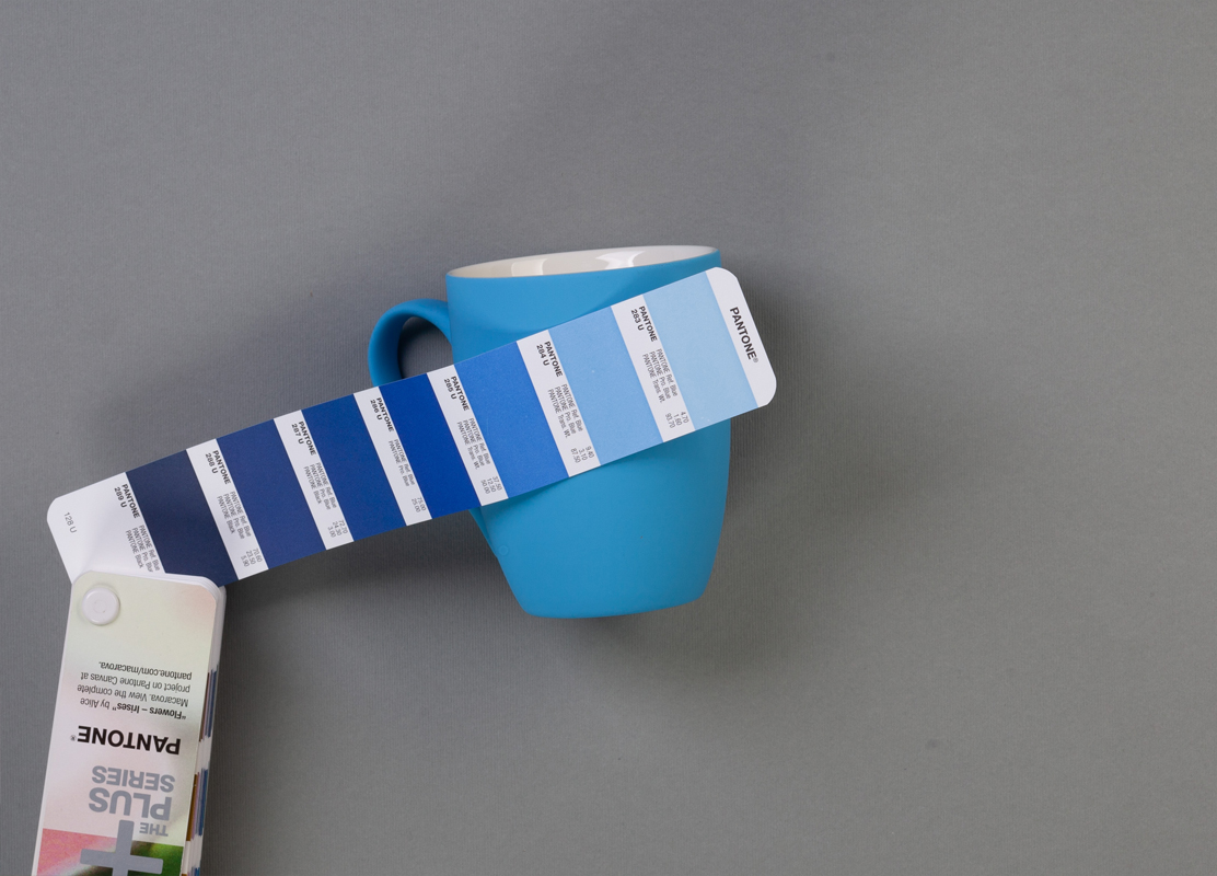  "Trend",   soft touch