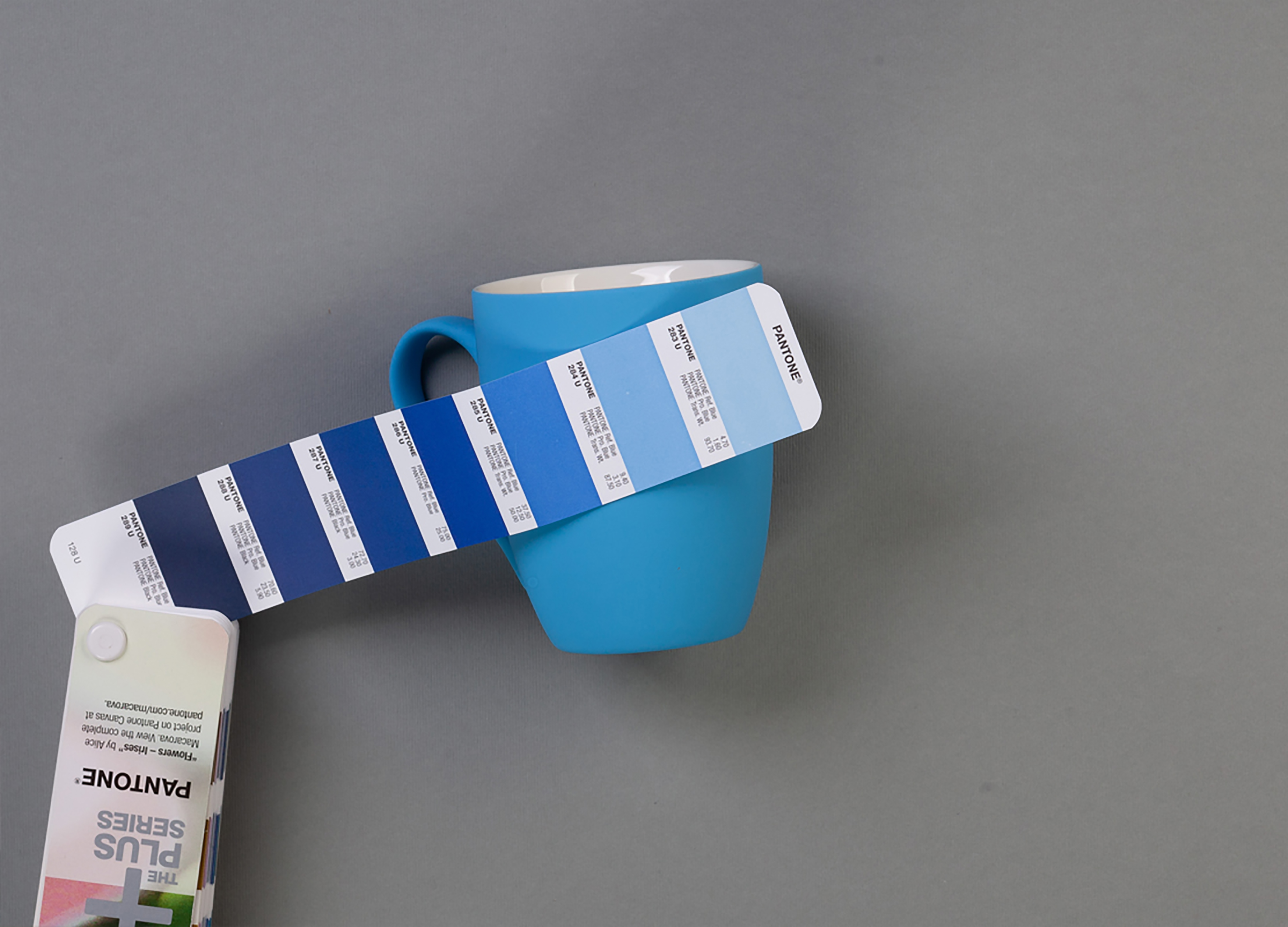  "Trend",   soft touch