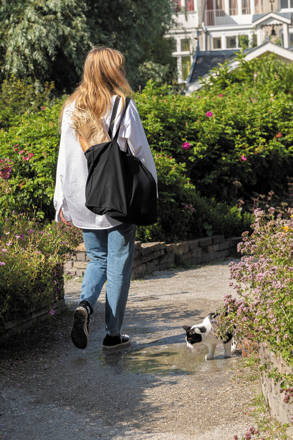 - Impact    AWARE, 145 